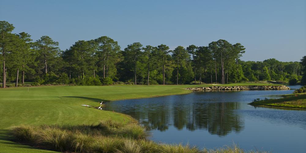 Arnie's Favorite: Number 15